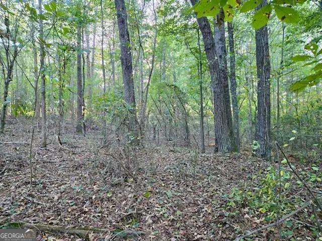 0 Hurt Bridge Road, Cumming, GA 30028 - Image #2