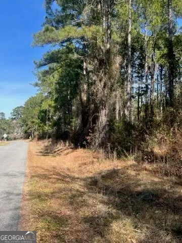 241 Valhalla Road #LOT 3, Cordele, GA 31015 - Image #2