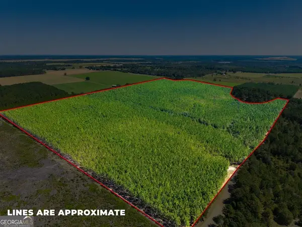 1901 Joe Wells Road, Buena Vista, GA 31803