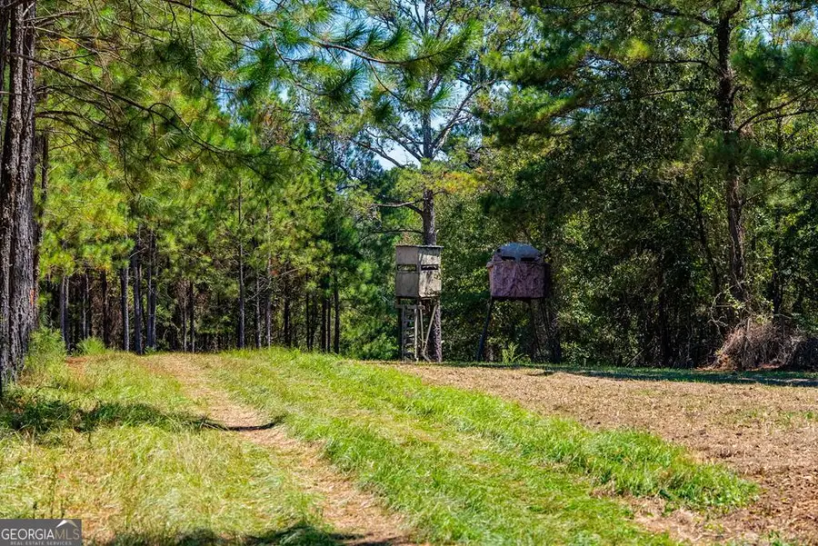 1901 Joe Wells Road, Buena Vista, GA 31803 - Image #3