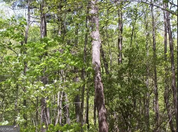 0 Thunderhead Lane, Dillard, GA 30537 - Image #3