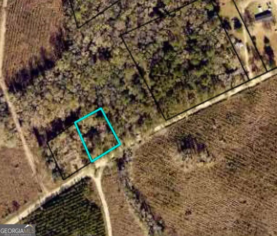 COLESBURG-TOMPK V/l N/s Colesburg-tompkins Road, Woodbine, GA 31569 - Image #1