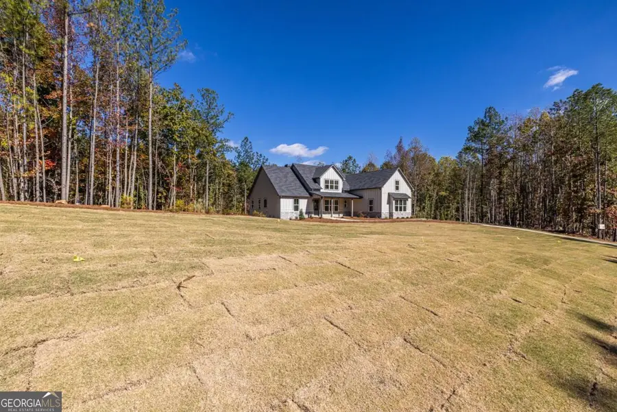 41 Lone Bear Path, Dallas, GA 30132 - Image #3