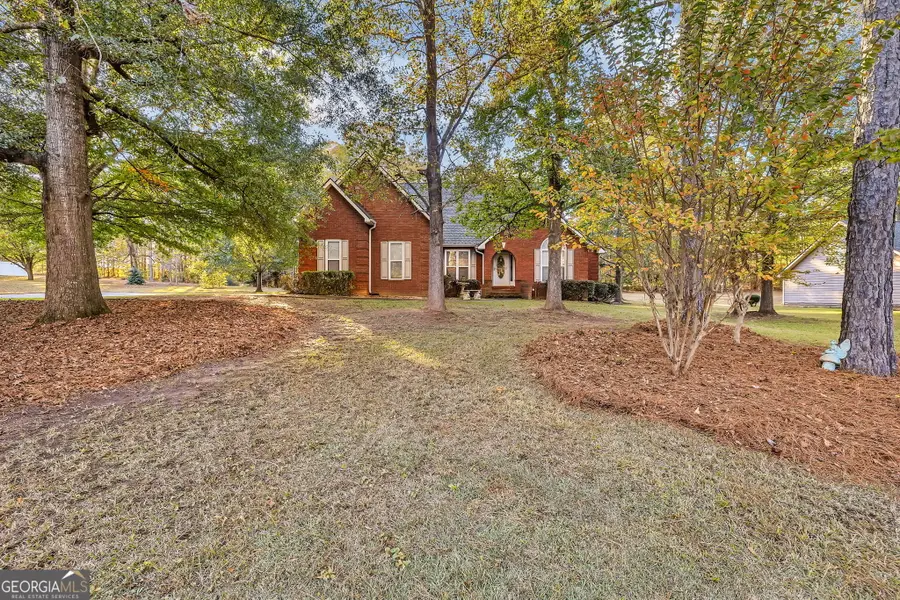 121 Turner Creek Drive, Hampton, GA 30228 - Image #2