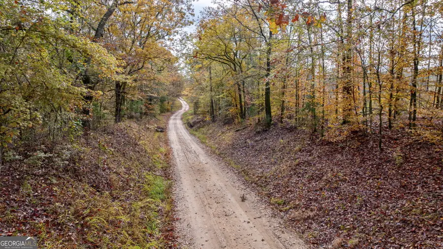 0 New Hope Vesta Road, Carlton, GA 30627 - Image #2