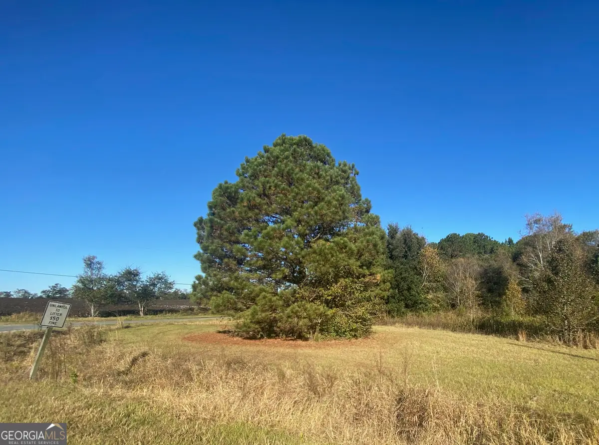 0 Jeanette Street, Unadilla, GA 31091 - Image #1