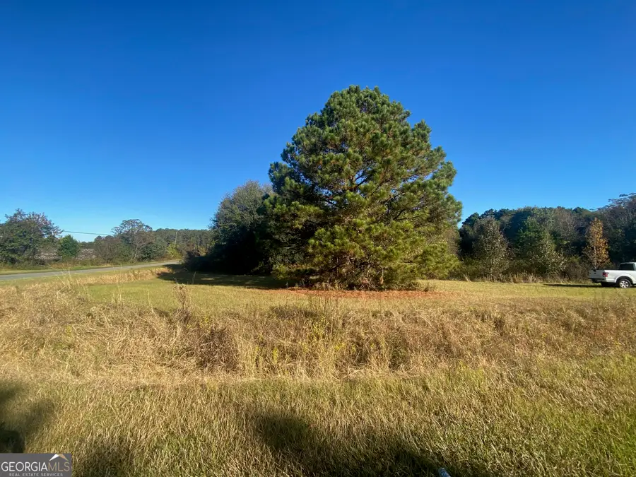 0 Jeanette Street, Unadilla, GA 31091 - Image #2