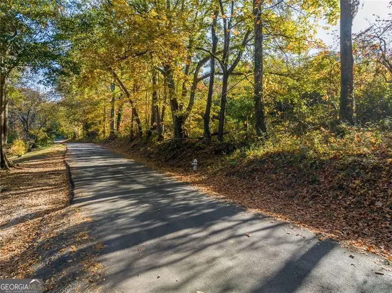 286 Lowry Street, Ball Ground, GA 30107 - Image #2