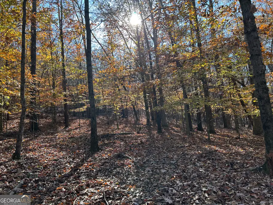 0 Dove Hill Road, Royston, GA 30662 - Image #3