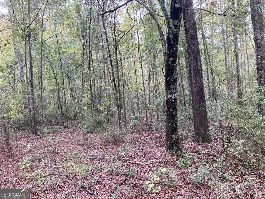 378 Lawton Road, Sylvania, GA 30467 - Image #2