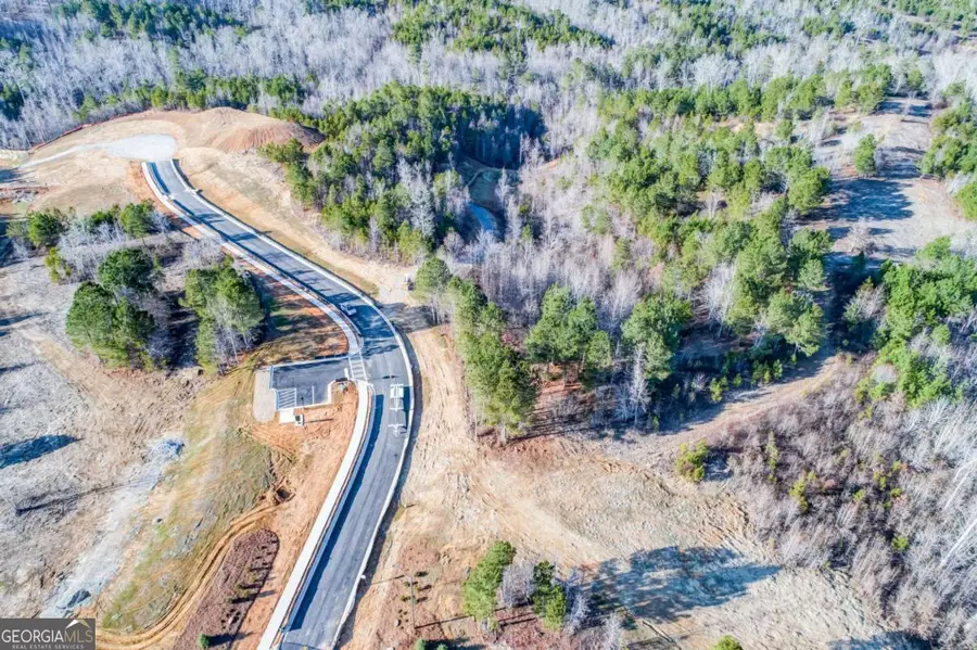 1011 Mount Carmel Church Lane, Canton, GA 30114 - Image #3