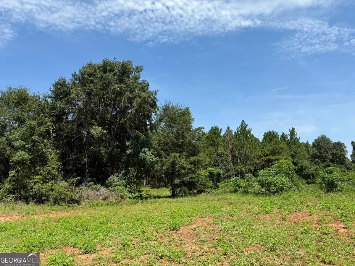 057 Benevolence Hwy, Lumpkin, GA 39815 - Image #1