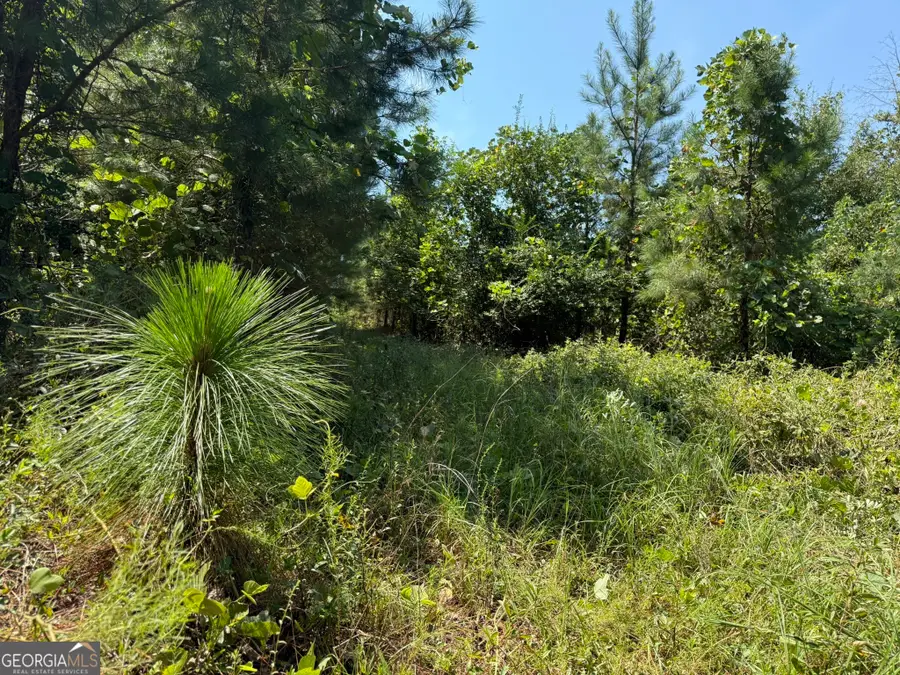 057 Benevolence Hwy, Lumpkin, GA 39815 - Image #2