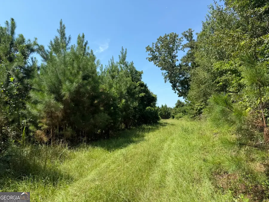 057 Benevolence Hwy, Lumpkin, GA 39815 - Image #3