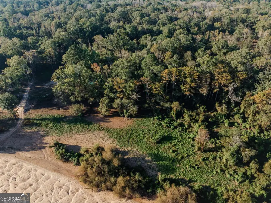 0 Eagles Point (lot 8), Surrency, GA 31563 - Image #3