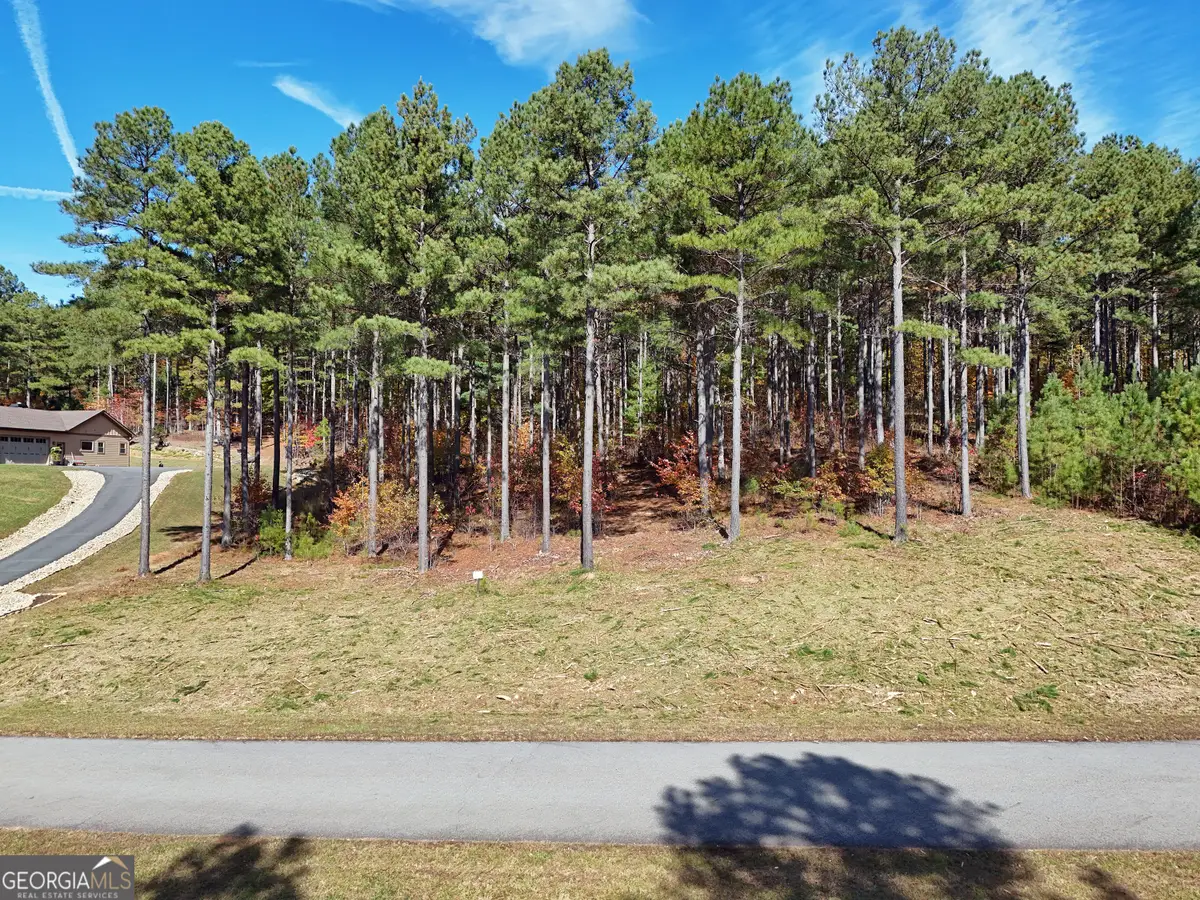 LOT168 Stables Loop, Blairsville, GA 30512 - #1