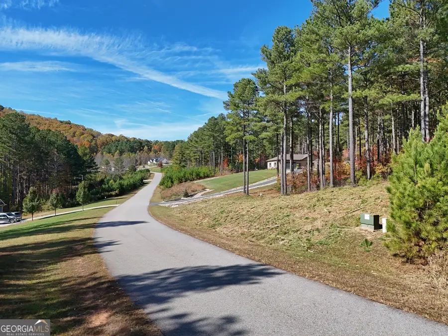 LOT168 Stables Loop, Blairsville, GA 30512 - #2