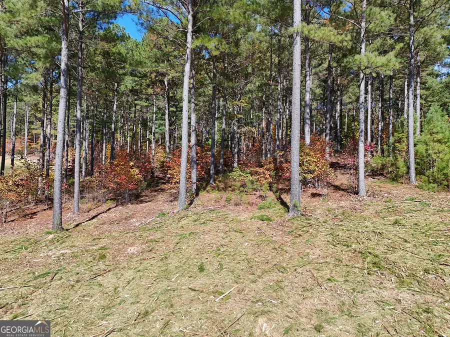 LOT168 Stables Loop, Blairsville, GA 30512 - #3