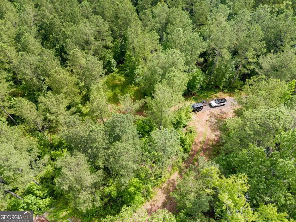 0 Wilson Road, Temple, GA 30179 - Image #1