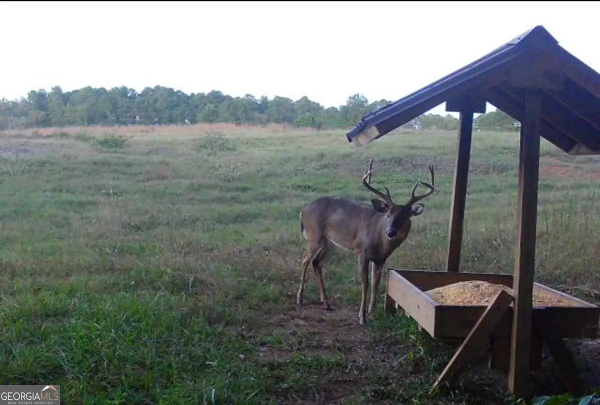 0 Hwy 80, Talbotton, GA 31827 - Image #1