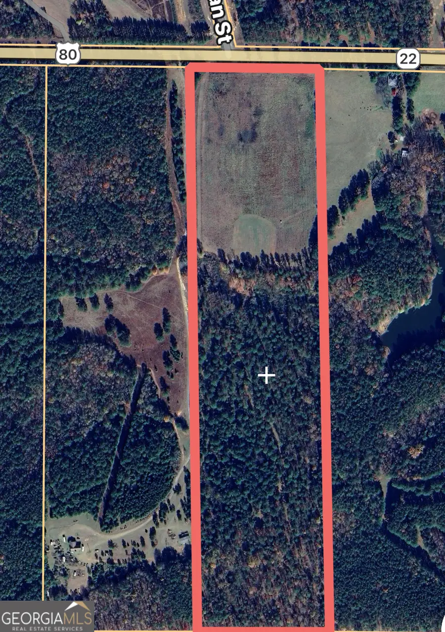 0 Hwy 80, Talbotton, GA 31827 - Image #2