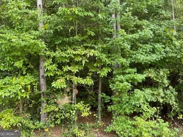 TK 7 Old Ridgeway Road, Bremen, GA 30110 - #2