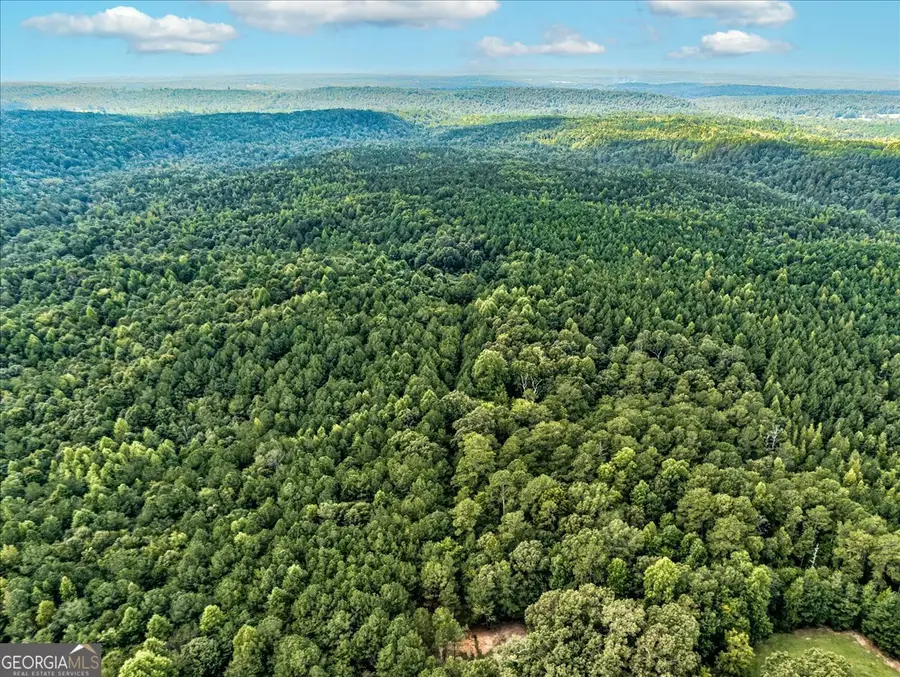 TK 1 Old Ridgeway Road, Bremen, GA 30110 - Image #3