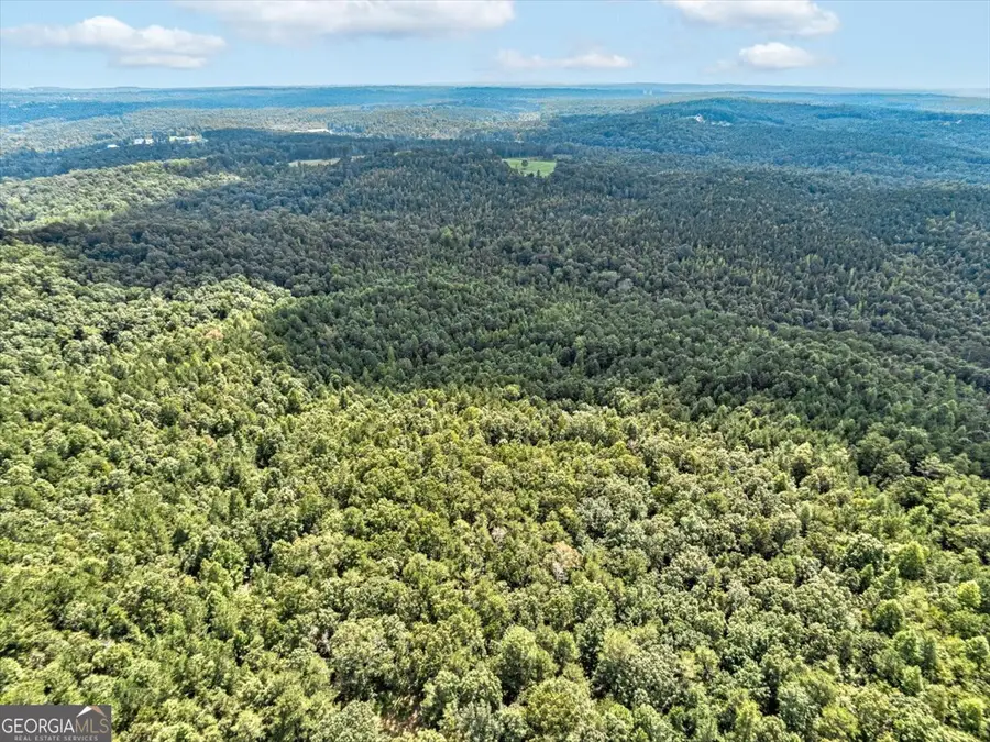 TK 11 Old Ridgeway Road, Bremen, GA 30110 - #3