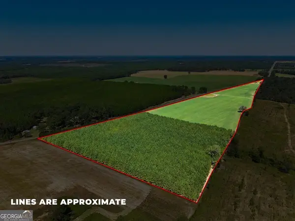 TRACT 3 Joe Wells Road, Buena Vista, GA 31803