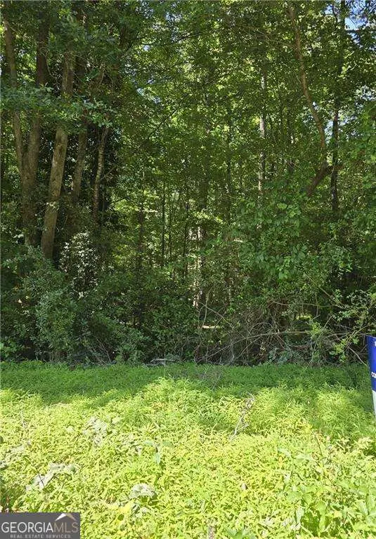 9181 Welch Court, Jonesboro, GA 30238 - #1