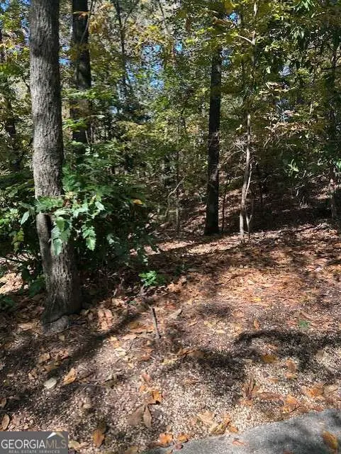 18 W Wesley Ridge, Atlanta, GA 30327 - Image #2