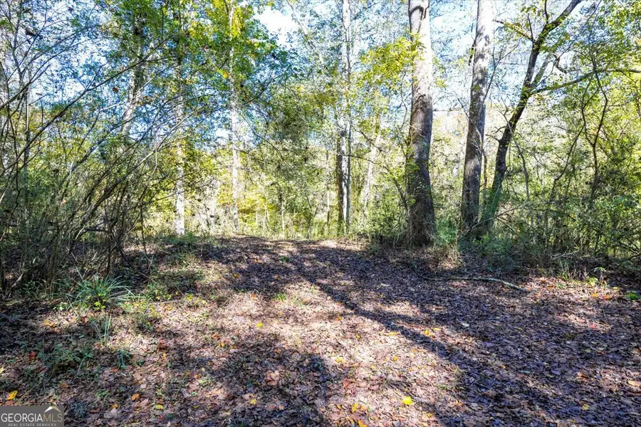 3471 Ga Highway 42 N, Forsyth, GA 31029 - Image #3