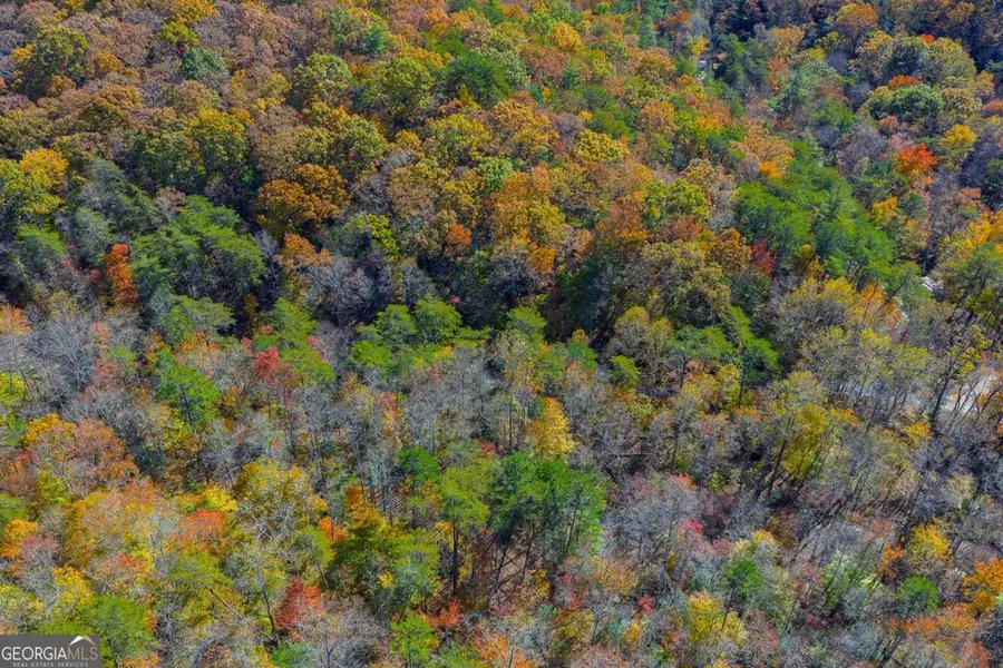 0 Willard Mountain Road, Blue Ridge, GA 30513 - Image #2