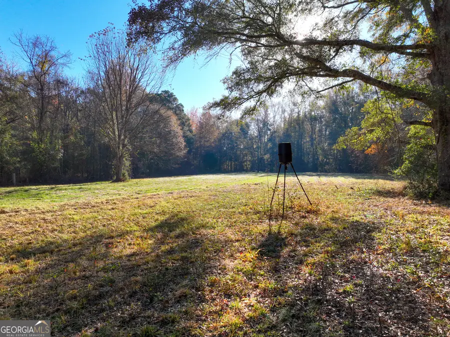 56 Ivey Circle, Forsyth, GA 31029 - Image #2