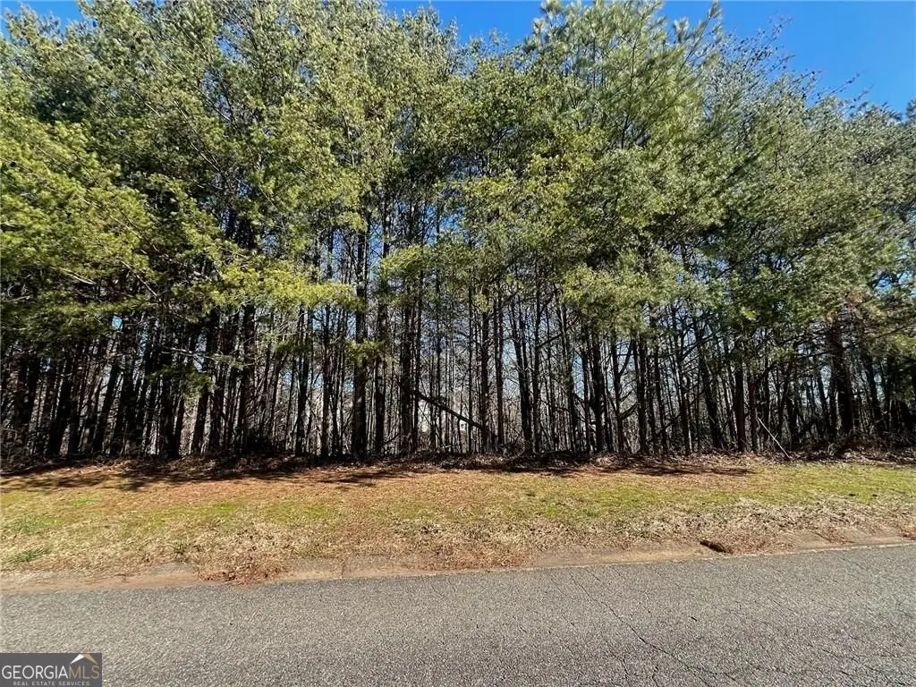 924 Whistler Lane #66, Canton, GA 30114 - Image #1