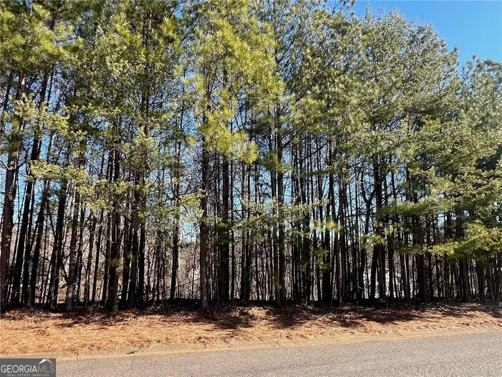 920 Whistler Lane #68, Canton, GA 30114 - Image #1