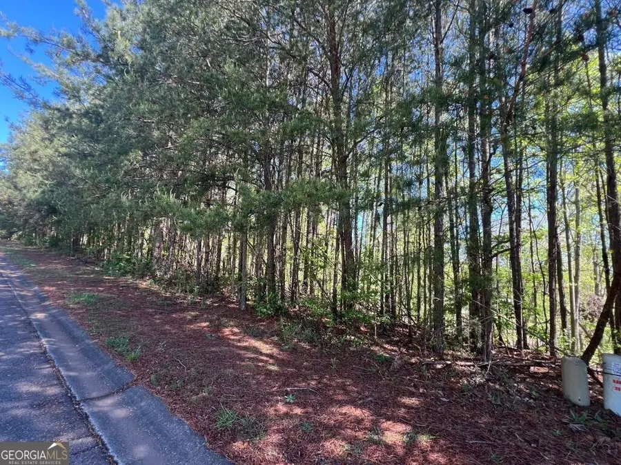 922 Whistler Lane #67, Canton, GA 30114 - Image #2