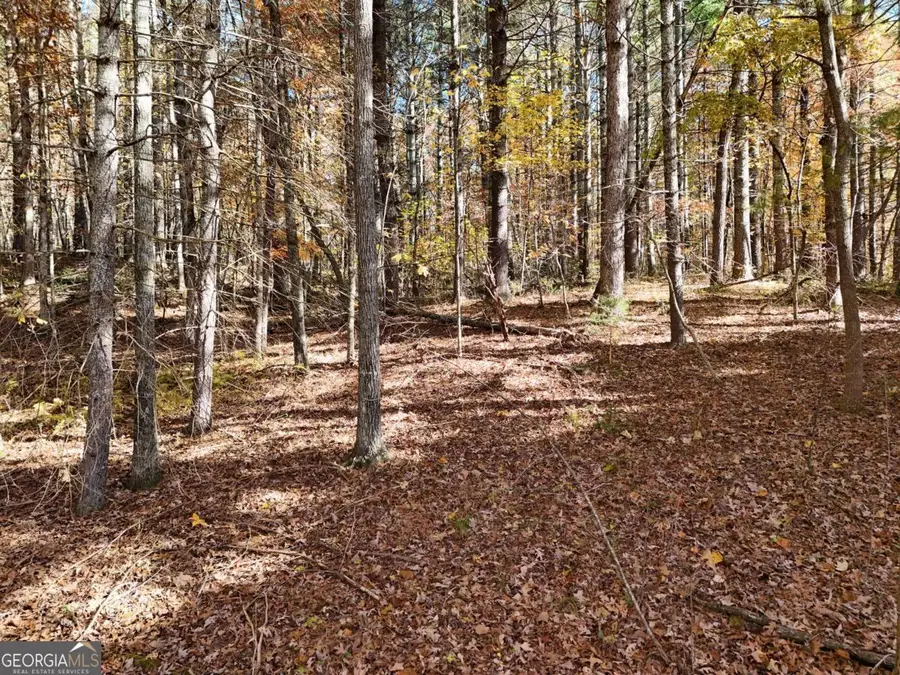 20AC Odom Road, Blairsville, GA 30512 - Image #2