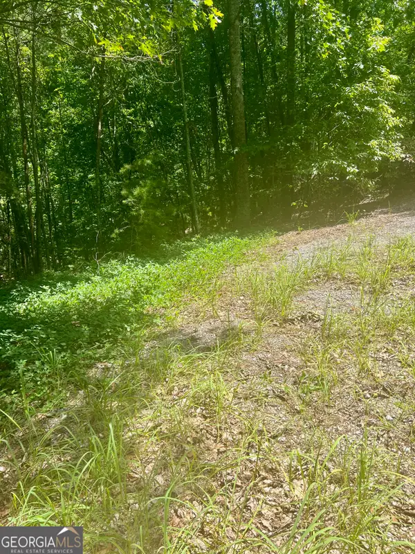 709 Railey Ridge, Ranger, GA 30734