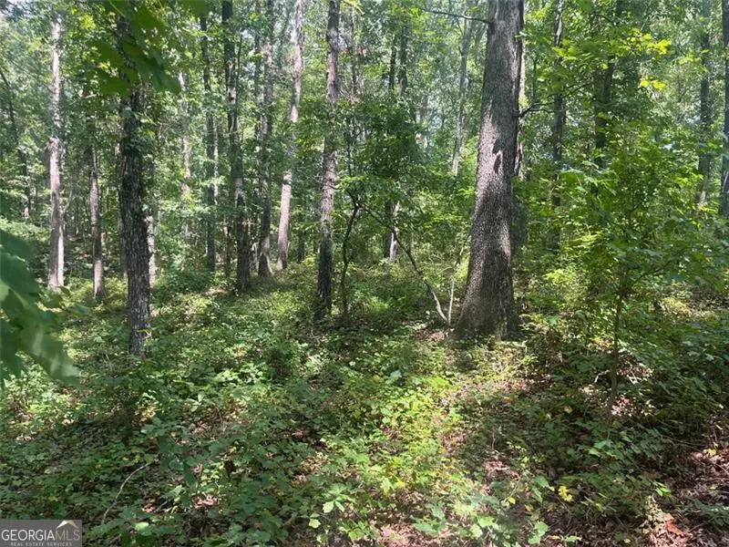 6 Acres Henry Scott, Ball Ground, GA 30107 - Image #2