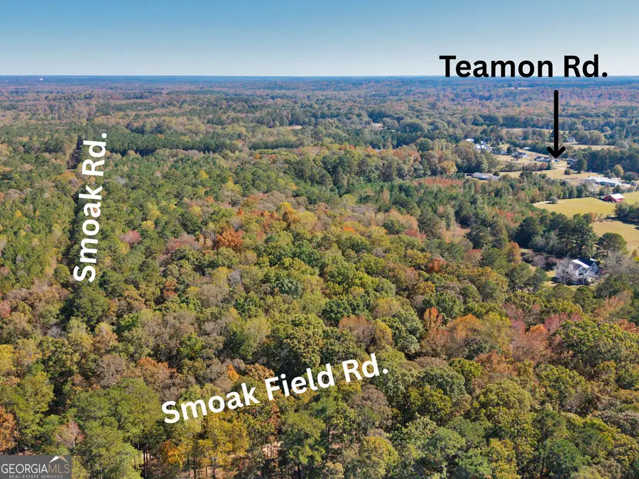 176 Smoak Field Road, Griffin, GA 30223 - Image #2