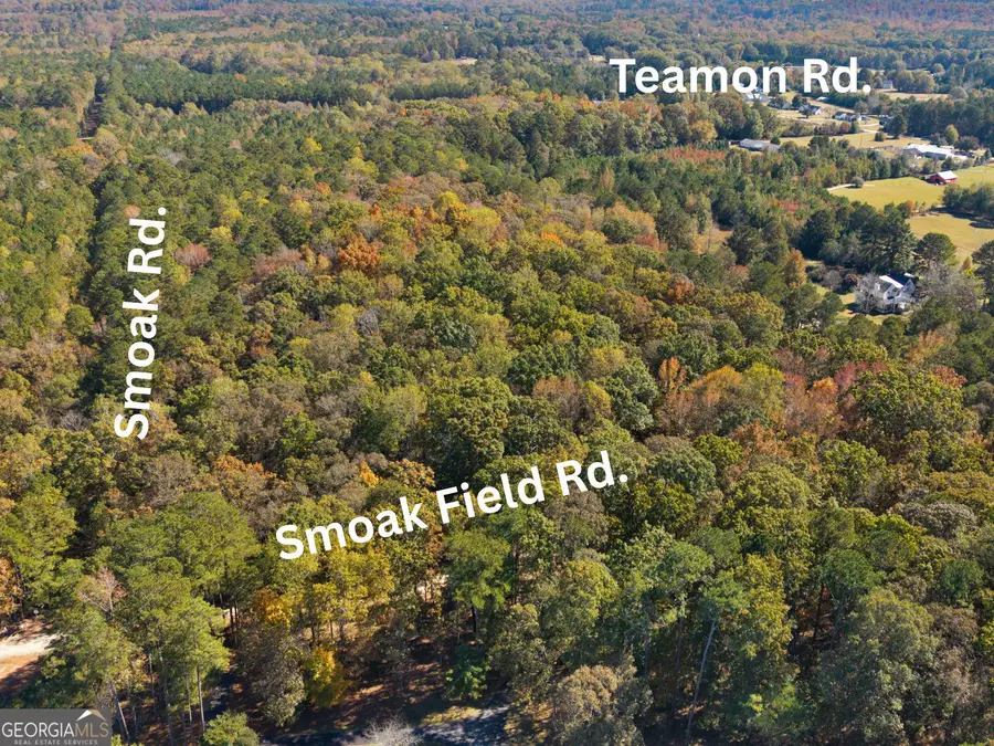 176 Smoak Field Road, Griffin, GA 30223 - Image #3