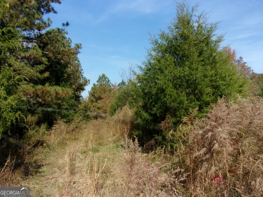 0 River Road, Carlton, GA 30627 - Image #3