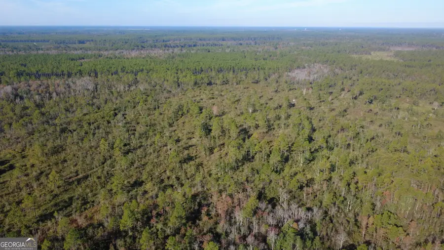 0 Fargo Highway, Homerville, GA 31634 - Image #2