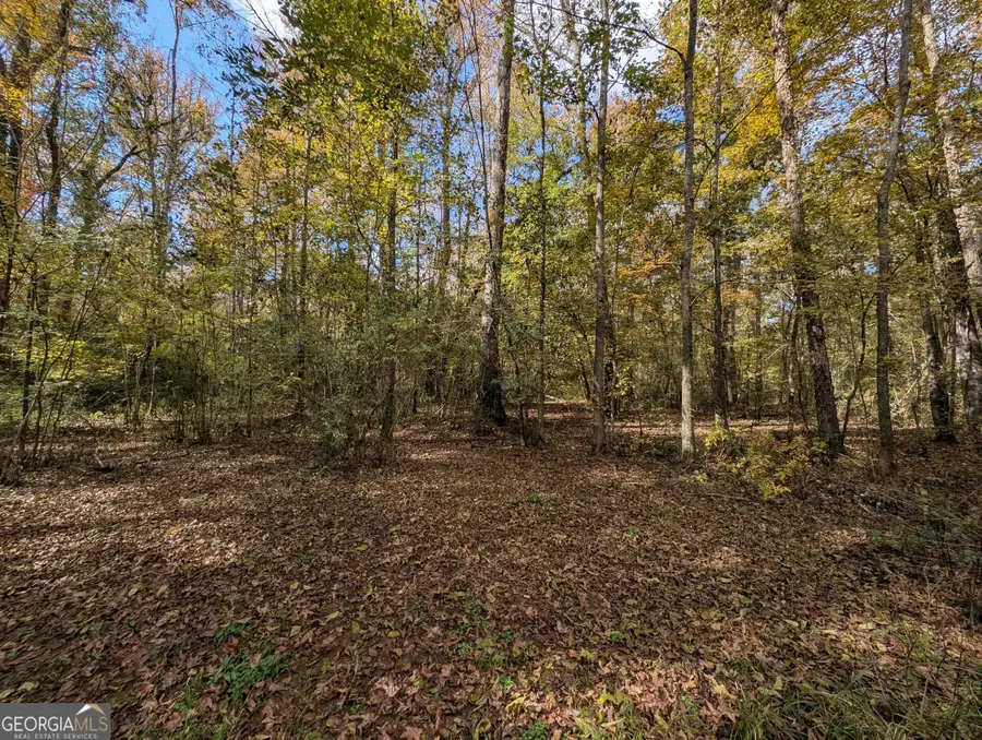 216 Deerwood Circle, Griffin, GA 30223 - Image #2