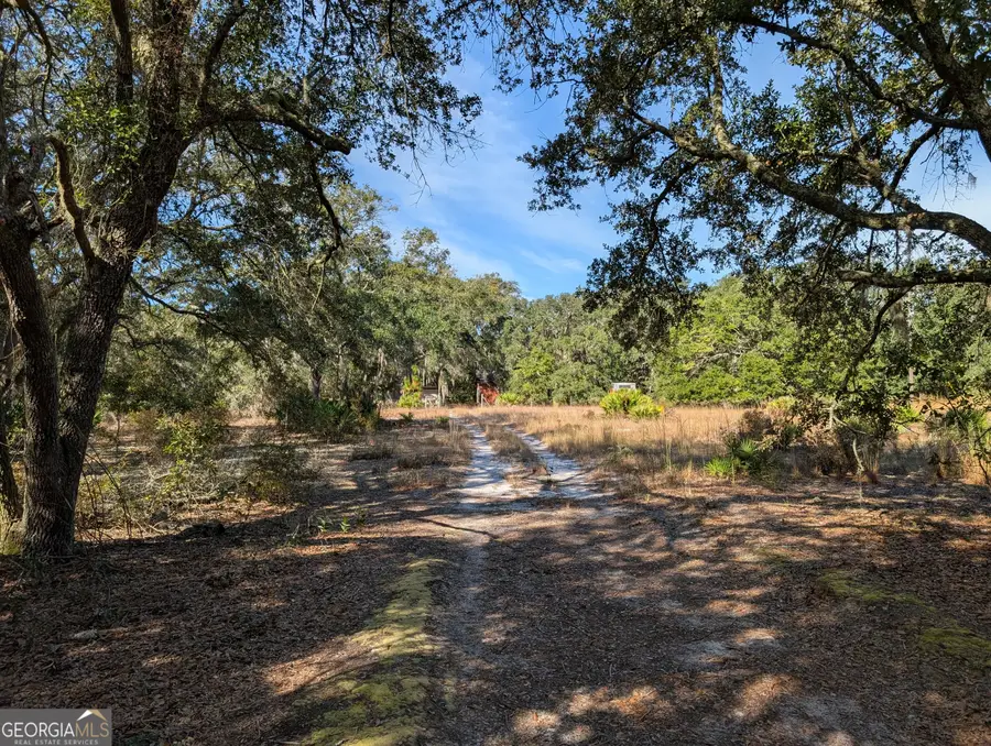 779 Ralph Davis Road, Folkston, GA 31537 - Image #3