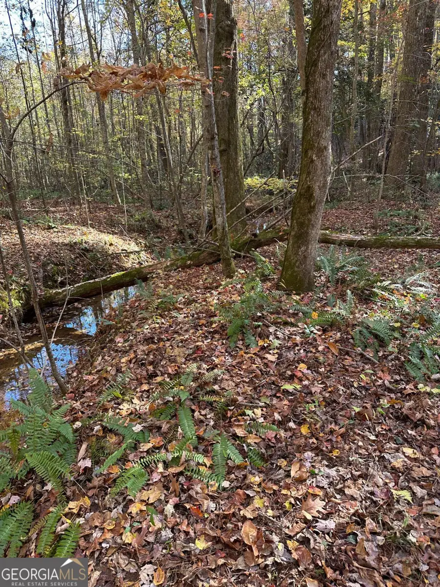 39 Planters Creek Drive, Banks, GA 30511 - Image #3