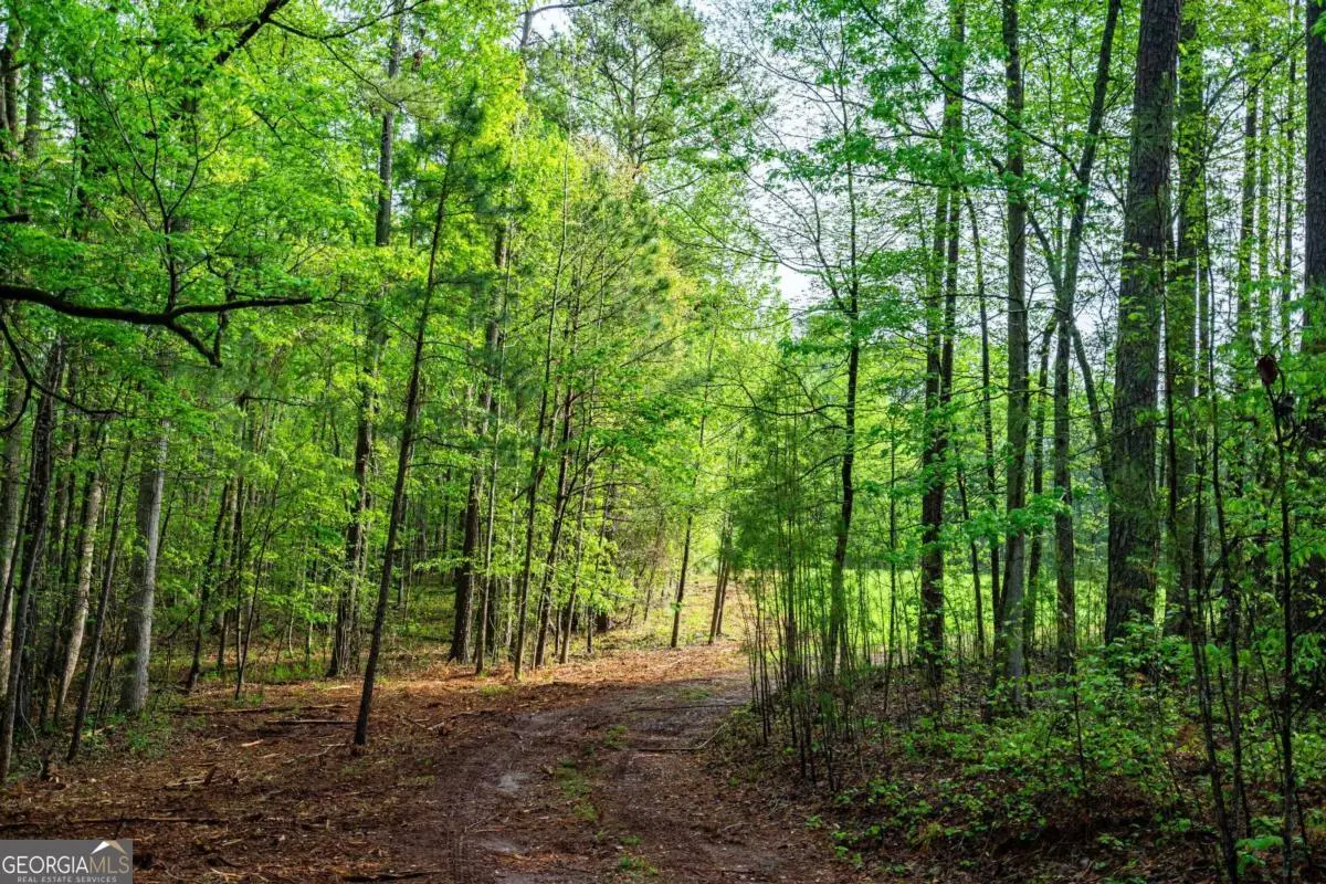 0 Cameron Mill Road, Lagrange, GA 30240 - Image #1