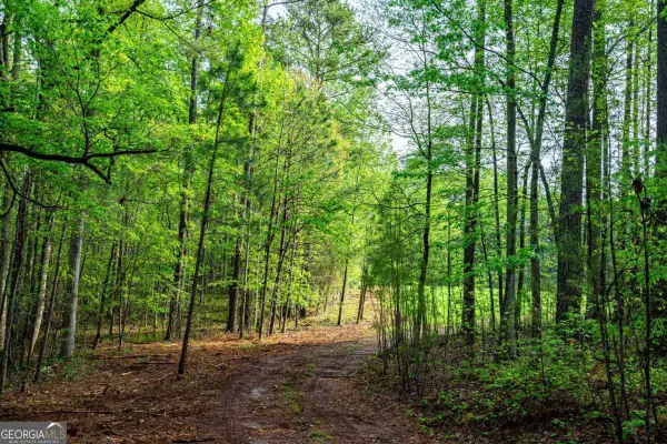 0 Cameron Mill Road, Lagrange, GA 30240