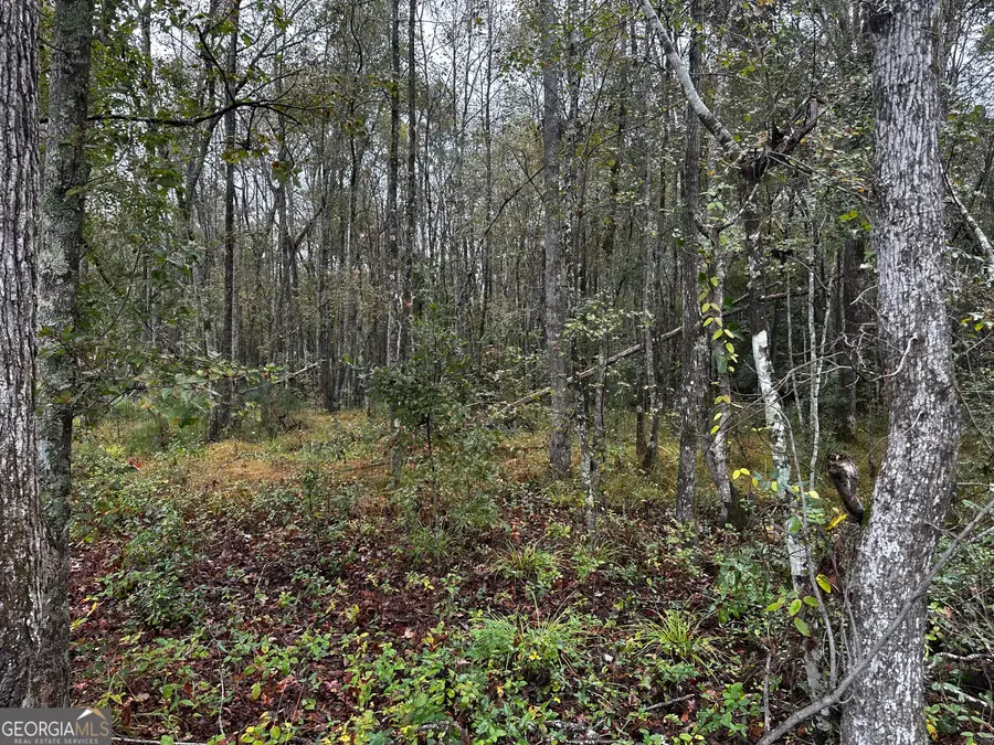 0 Erick Road, Alamo, GA 30411 - Image #2